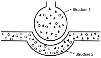 gas exchange at the particulate level