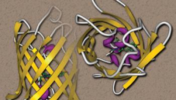 Cover of the February 2013 Issue of the Journal of Chemical Education