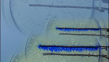 Cover of June 2013 Issue of Journal of Chemical Education