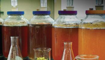 Journal of Chemical Education March 2014 Cover