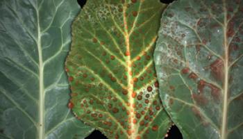 Journal of Chemical Education February 2017 Cover