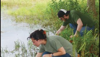 Journal of Chemical Education April 2018 Cover