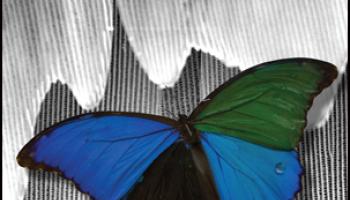 Journal of Chemical Education June 2018 Cover