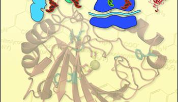 Journal of Chemical Education January 2019 Cover