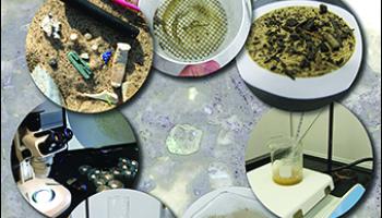 Journal of Chemical Education February 2019 Cover