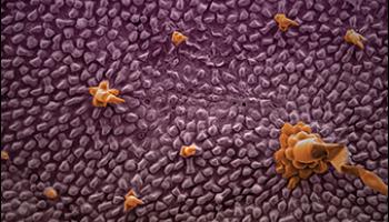 Journal of Chemical Education September 2019 Cover