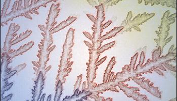 Journal of Chemical Education February 2020 Cover