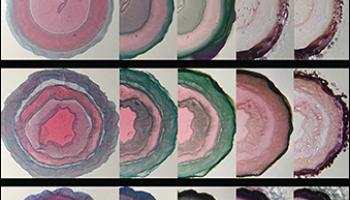 Journal of Chemical Education June 2020 Cover