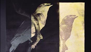 Journal of Chemical Education December 2020 Cover