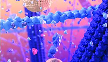 Journal of Chemical Education May 2021 Cover