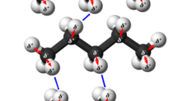 Particle level model of Pentane 