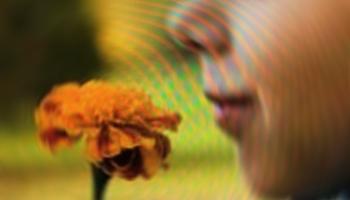 face of young person smelling orange flower