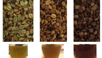 roasting coffee bean research project