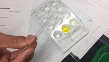 photo of student lab work