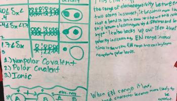 ADI and Electronegativity