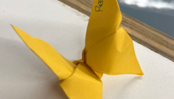 Experimental Design, Cell phone usage in the classroom and origami.