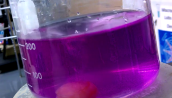 Candy and Indicators