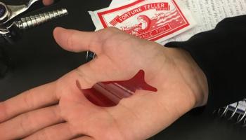 Fortune Teller Fish