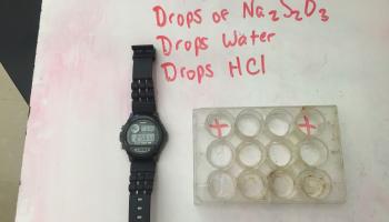 Watch and reaction plate 