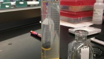 homemade hydrometer in a graduated cylinder with salt water