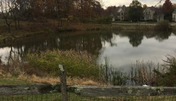 view of lake oil experiment