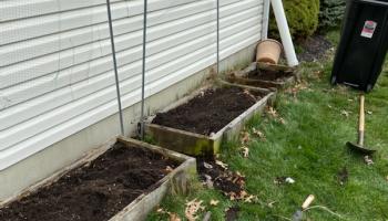 Garden beds along side of a building