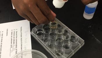 Microscale titrations in a well-plate