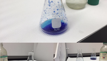 A series of pictures of solutions from Gen Chem II Lab "Synthesis of Tetraamminecobalt(II) sulfate"
