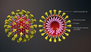 Coronavirus and Coronavirus Cross Section