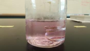 Mg reacting with water