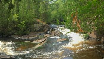 River in northern Wisconsin tinted brown with tannins 