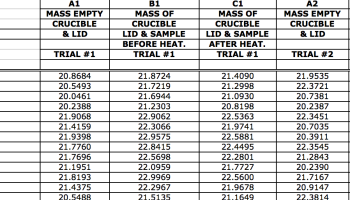 Excel file for compiling student data