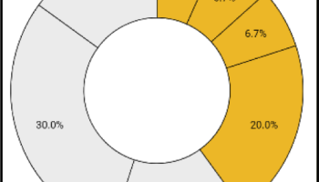 Breakdown of National Exam Score by percent