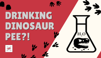 Drinking Dinosaur Pee?! title on preview image with dinosaur head in a flask.
