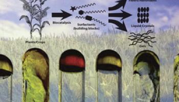 September 2014 JCE cover