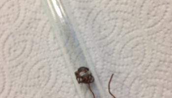 Molar Volume of Hydrogen Gas Lab