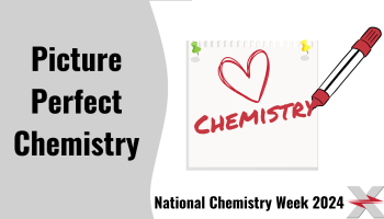 Picture Perfect Chemistry title preview image