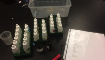 supplies for ion qualitative analysis lab