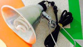 SPOTLIGHT ON AP CHEM