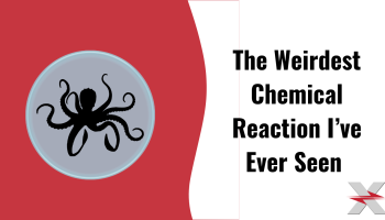 The WEIRDEST Chemical Reaction I've Ever Seen! preview image with octopus icon