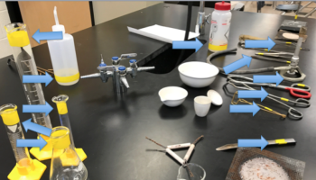 organizing laboratory equipment