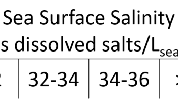 sea surface salinity values