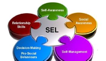 social, emotional learning in the chemistry classroom puzzle pieces