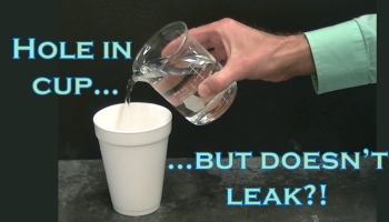 A cup full of water...but it doesn't leak!