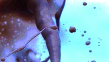 Diet Coke and Mentos eruption