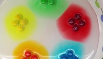 M&Ms in water on a plate