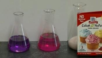 McCormick's Color From Nature Berry Dye