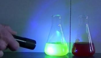 Fluorescence of sunflower dye