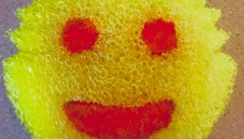 Scrub Daddy Sponge