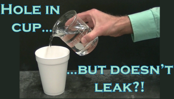 Water is poured from a beaker into a styrofoam cup